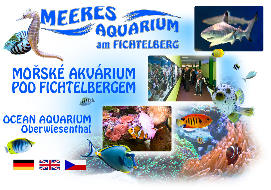 Meeresaquarium am Fichtelberg