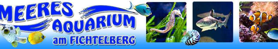 Meeresaquarium am Fichtelberg in Oberwiesenthal